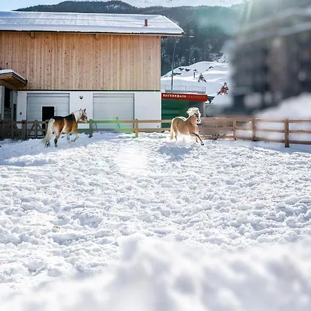 Martinus Apartamento