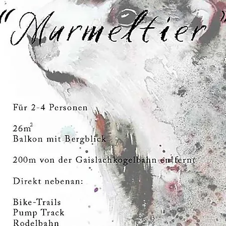Lägenhet Martinus